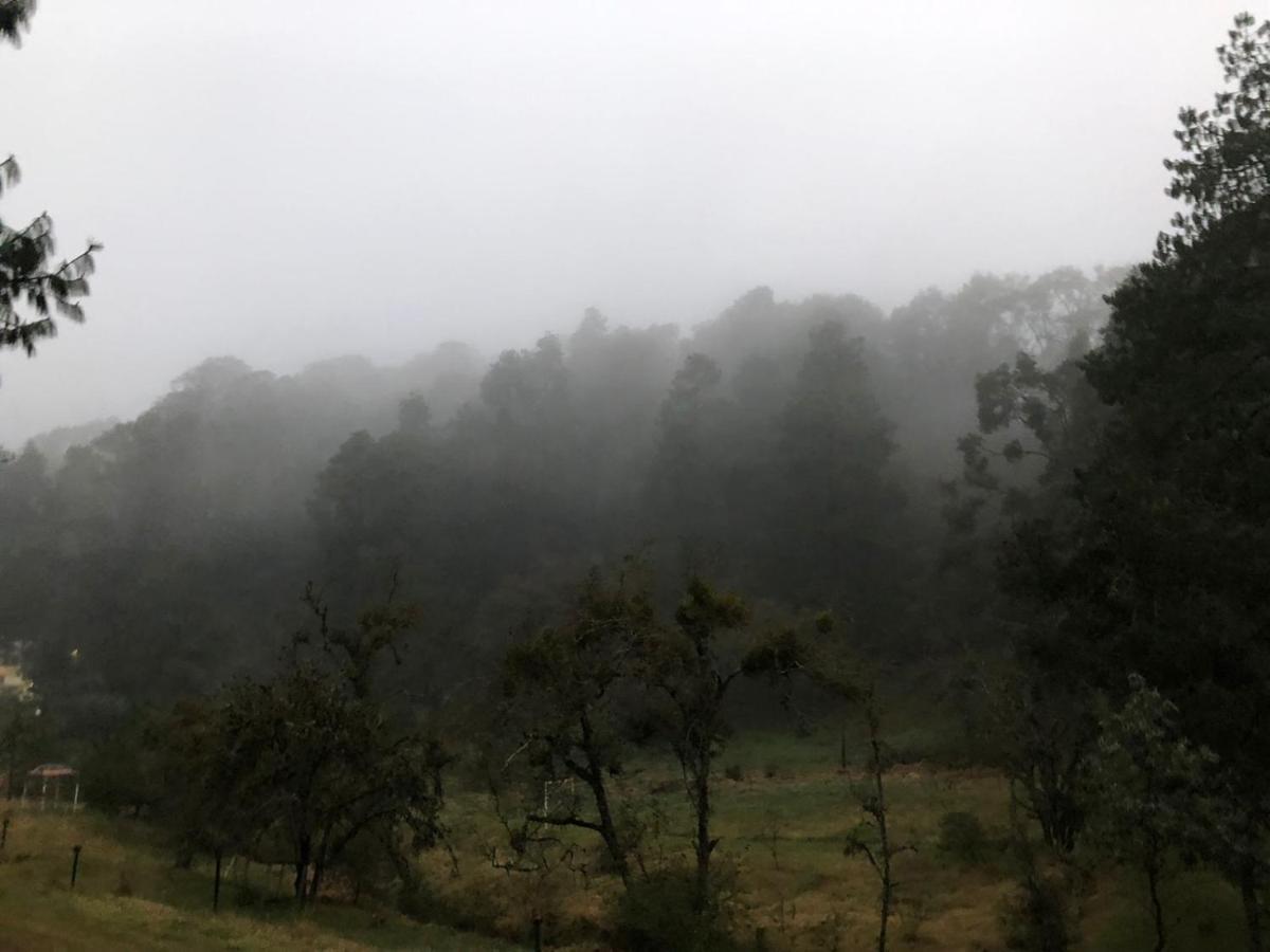 Acaxochitlán Cabana Romantica En El Bosque! מראה חיצוני תמונה